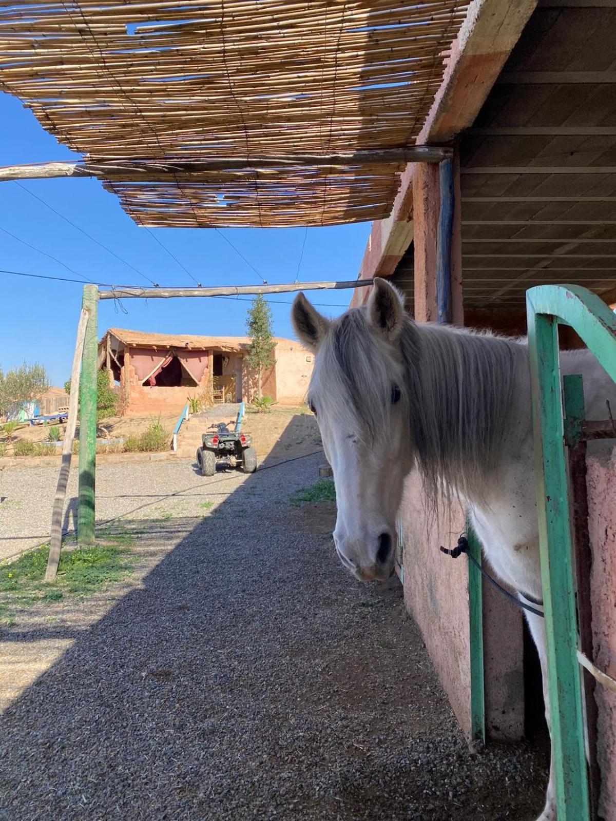 Vila Les Cavaliers Chez Yassine Marakéš Exteriér fotografie